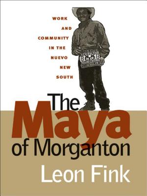 The Maya of Morganton: Work and Community in the Nuevo New South - Fink, Leon