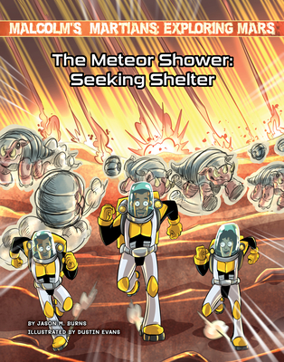 The Meteor Shower: Seeking Shelter - Burns, Jason M