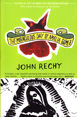 The Miraculous Day of Amalia Gmez - Rechy, John