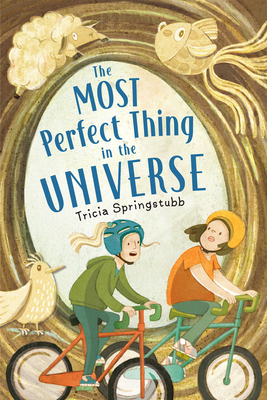 The Most Perfect Thing in the Universe - Springstubb, Tricia