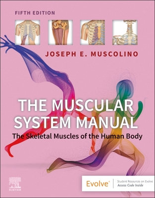 The Muscular System Manual: The Skeletal Muscles of the Human Body - Muscolino, Joseph E, DC