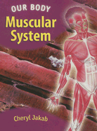 The Muscular System