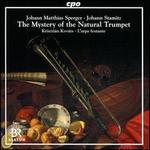 The  Mystery of the Natural Trumpet