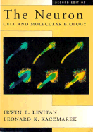 The Neuron: Cell and Molecular Biology