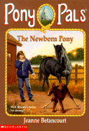 The Newborn Pony