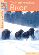The North American Bison