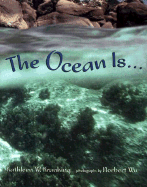 The Ocean Is...