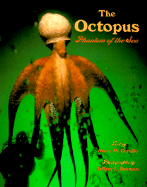 The Octopus: Phantom of the Sea - Cerullo, Mary M, and Rotman, Jeffrey L (Photographer)