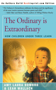 The Ordinary is Extraordinary: How Children Under Three Learn