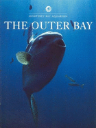 The Outer Bay