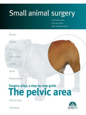 The pelvicaArea. Small animal surgery - Rodrguez, Jos, and Martinez, Ma Jose, and Graus, Jaime