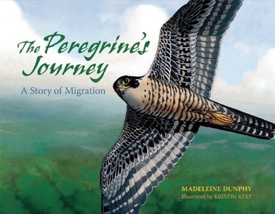 The Peregrine's Journey: A Story of Migration - Dunphy, Madeleine