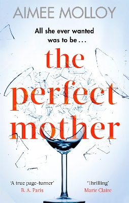 The Perfect Mother: A gripping thriller with a nail-biting twist - Molloy, Aimee