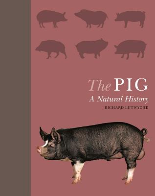 The Pig: A Natural History - Lutwyche, Richard