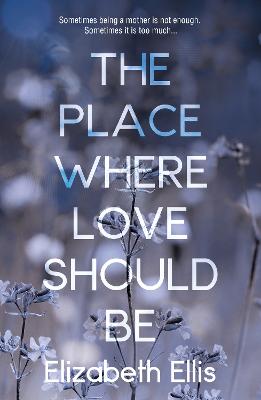 The Place Where Love Should Be - Ellis, Elizabeth