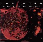 The Place Where the Black Stars Hang - Lustmord