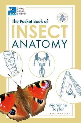 The Pocket Book of Insect Anatomy - Taylor, Marianne