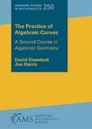 The Practice of Algebraic Curves: A Second Course in Algebraic Geometry