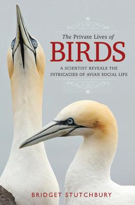 The Private Lives of Birds: A Scientist Reveals the Intricacies of Avian Social Life - Stutchbury, Bridget