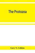 The Protozoa