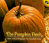 The Pumpkin Patch