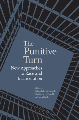 The Punitive Turn: New Approaches to Race and Incarceration - McDowell, Deborah E (Editor), and Harold, Claudrena N (Editor), and Battle, Juan, Dr. (Editor)