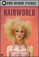 The Pursuit of Excellence: Hair World