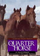 The Quarter Horse