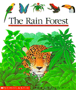 The Rain Forest - Mettler, Rene