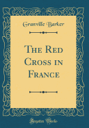 The Red Cross in France (Classic Reprint)