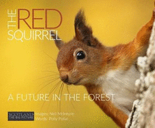 The Red Squirrel: A Future in the Forest