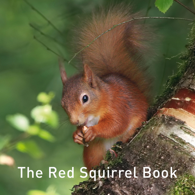 The Red Squirrel Book - Jane Russ