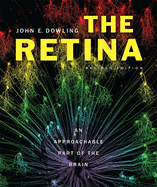 The Retina: An Approachable Part of the Brain, Revised Edition