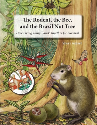 The Rodent, the Bee, and the Brazil Nut Tree: How Living Things Work Together for Survival - Amsel, Sheri