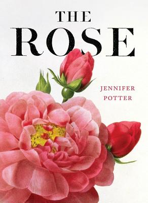 The Rose - Potter, Jennifer