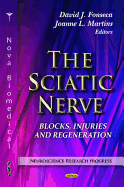 The Sciatic Nerve: Blocks, Injuries and Regeneration