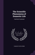 The Scientific Phenomena of Domestic Life: Familiarly Explained