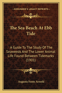 The Sea Beach At Ebb Tide: A Guide To The Study Of The Seaweeds And The Lower Animal Life Found Between Tidemarks (1901)