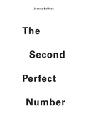 The Second Perfect Number