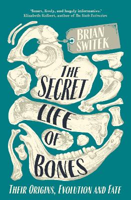 The Secret Life of Bones: Their Origins, Evolution and Fate - Switek, Brian