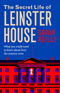 The Secret Life of Leinster House: What you really need to know about how the country is run