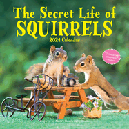 The Secret Life of Squirrels Wall Calendar 2024: a Year of Wild Squirrels