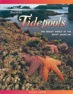 The Secrets of Tidepools: The Bright World of the Rocky Shoreline