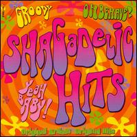 The Shagadelic Hits - Various Artists