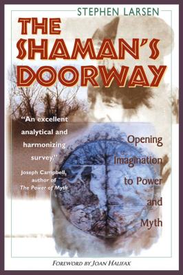 The Shaman's Doorway: Opening Imagination to Power and Myth - Larsen, Stephen