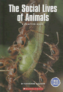 The Social Lives of Animals: A Chapter Book