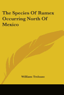 The Species Of Rumex Occurring North Of Mexico