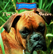 The Story of the Boxer - Mulvany, Martha