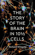 The Story of the Brain in 10? Cells