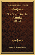 The Sugar Beet in America (1919)